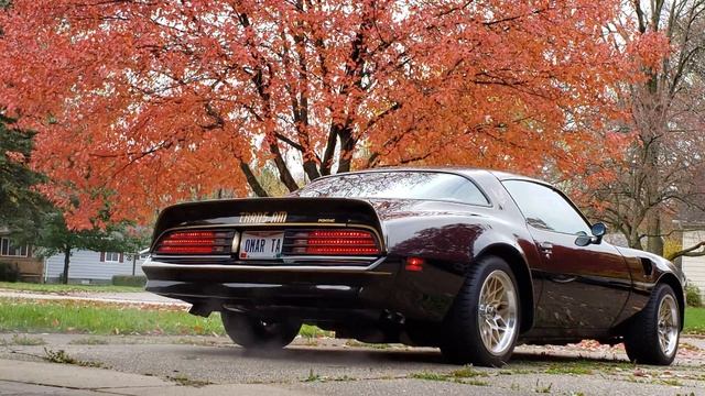1978 Pontiac Trans Am Cold Start смотреть онлайн