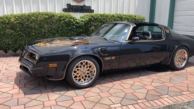 1977 Pontiac Trans Am bandit Y82 Special Edition Pro-tour FOR SALE смотреть онлайн