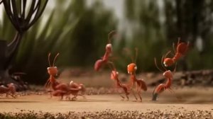 сборник мультиков Работа в команде очень важна