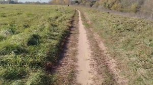 Немного осени...