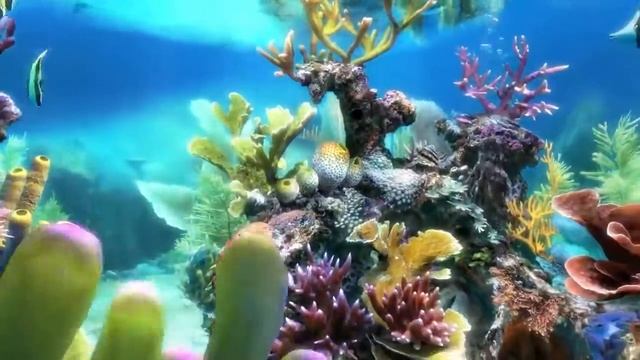 Sim Aquarium Screensaver & Live Wallpaper смотреть онлайн