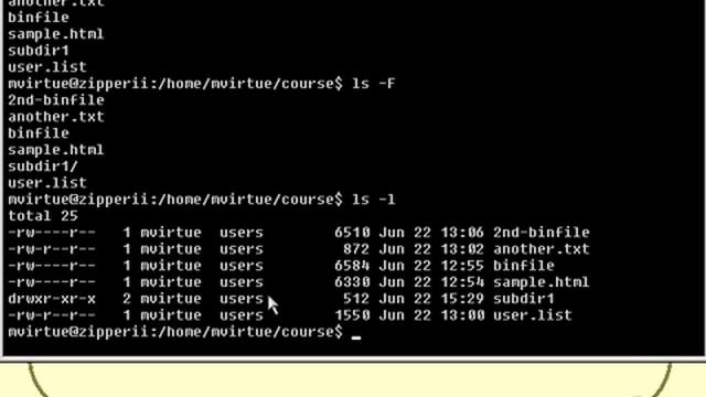 Lesson4_2.Commands for Files and Directories Pt 1.mov смотреть онлайн