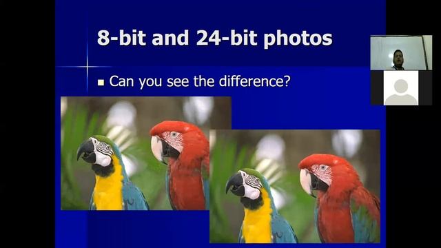 bitmap Vs Vector Images with example смотреть онлайн