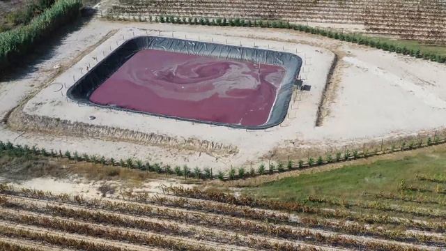 Vídeo Casa Ermelinda Freitas смотреть онлайн