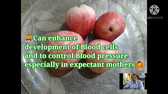 Malay Apple fruit and its benefits #Sauparnika store Home garden. смотреть онлайн