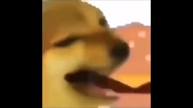 hamburger cheeseburger big mac whopper cheems meme (1 hour) смотреть онлайн