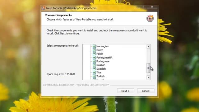 Nero Portable 11.2.4.100 Multilingual registred for free! смотреть онлайн