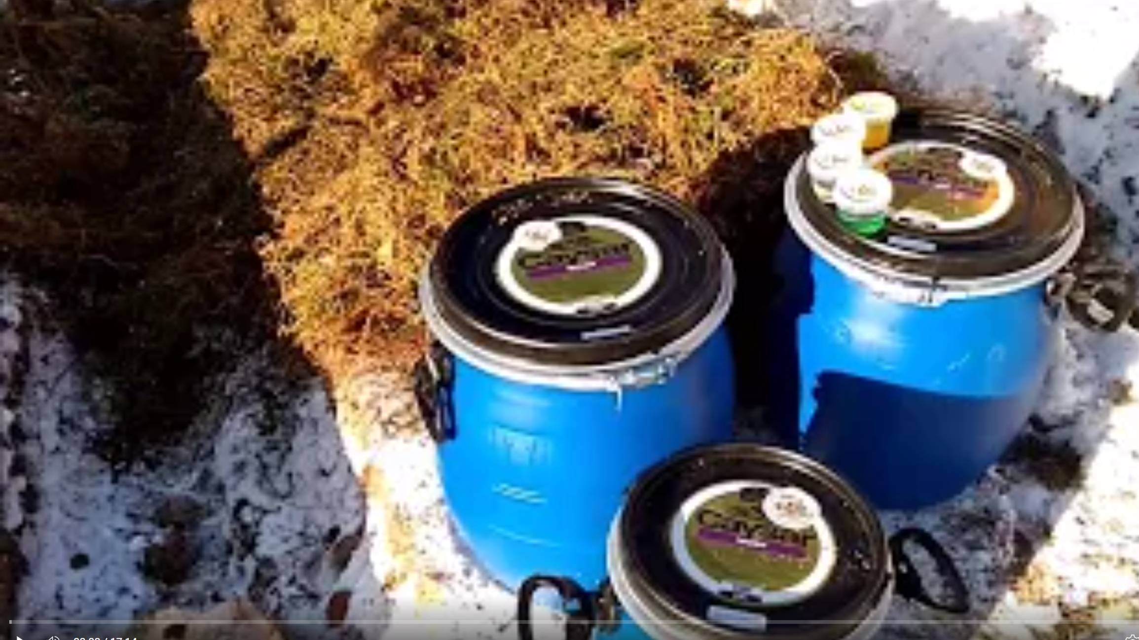 Зимние пропитки и антисептики для обработки сруба из бревна и бруса. Пропитки и антисептики для зимы смотреть онлайн