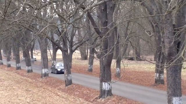 Seat Toleto 1M.mp4 смотреть онлайн