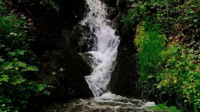 All 4k video \\ short video \\ like and share snbscribe смотреть онлайн