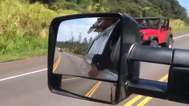 I like to stick my head out the window. смотреть онлайн