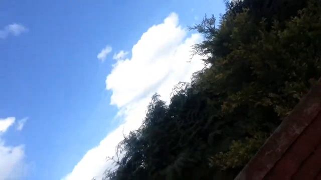 In my garden saw my brother watching me from his friends window lol смотреть онлайн