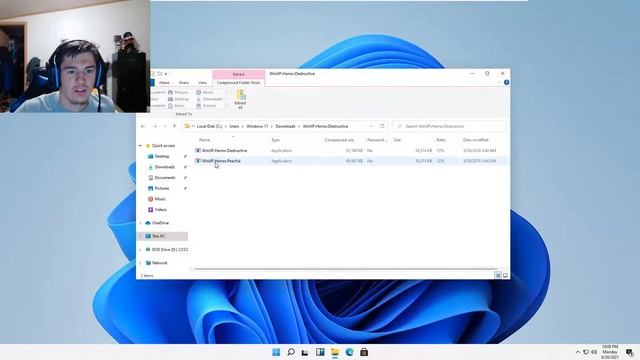 Destroying The Leaked Build Of Windows 11 With Viruses! смотреть онлайн