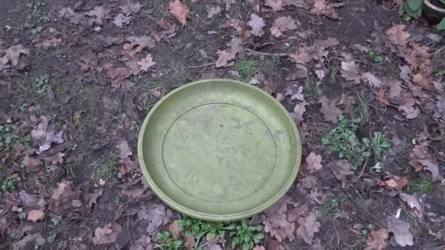 Who stole the water bowl? I suspect the badgers are thieves! смотреть онлайн