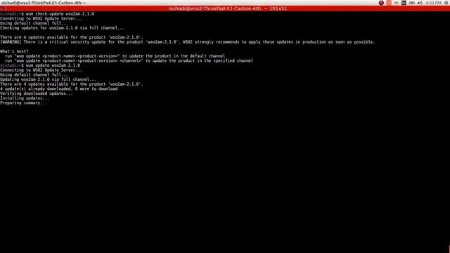 Moving Updates To Production Environment, WSO2 Update Manager смотреть онлайн