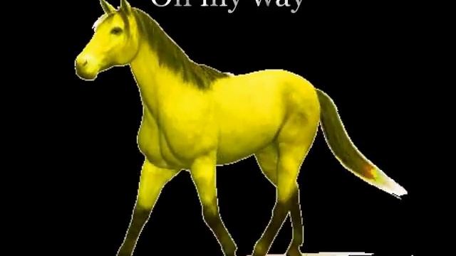 Kizoa Online Movie Maker: Animal Energy World Conference May 2016 смотреть онлайн