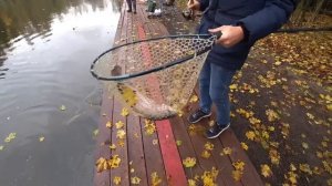 РК «Клевое место» рыбалка на форель