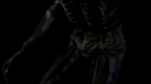 АНАТОМИЯ НЕОМОРФ, КСЕНОМОРФ VERSUS