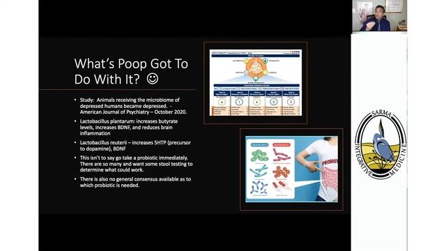 SIM - Integrative and Functional Medical Approach to Depression and Anxiety смотреть онлайн