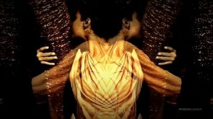 STIVE MORGAN - Метаморфозы (Metamorphosis)