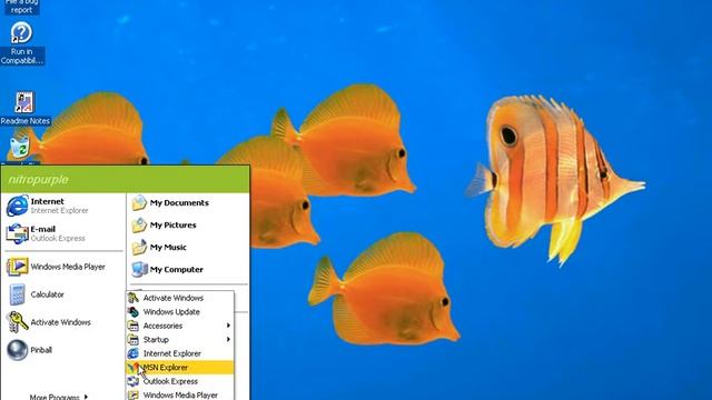 Windows Whistler build 2419 смотреть онлайн