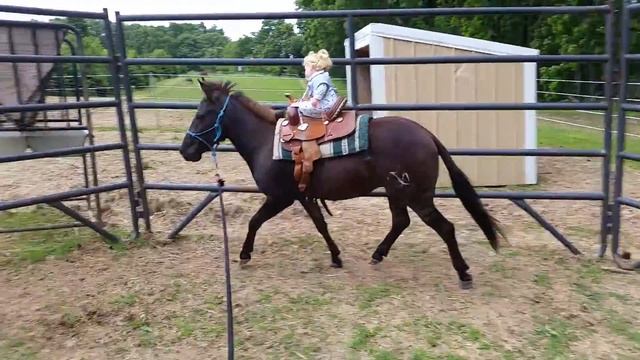 Zorse zazu with dummy doll rider смотреть онлайн