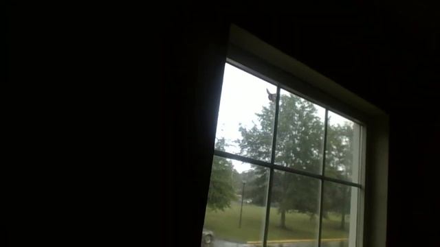 WHOOOSSS THAT PEEPIN THROUGH MY WINDOW SEAL!!! смотреть онлайн