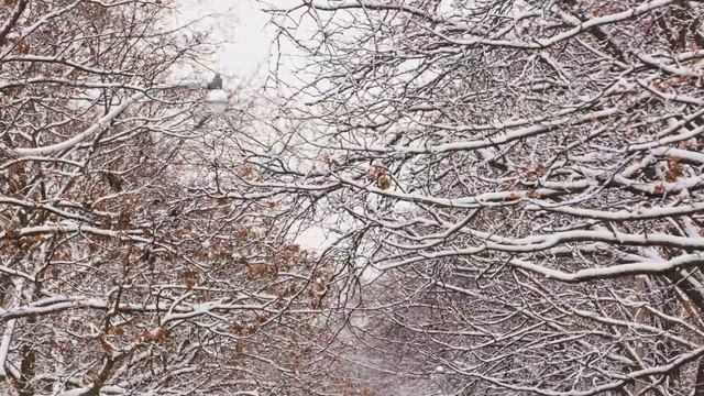 Top 100 Nature Wallpapers !! Download Now !! смотреть онлайн