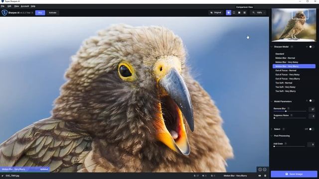 How Pro Photographers Fix Blurry Photos in Seconds with Sharpen AI смотреть онлайн