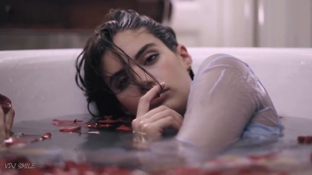 Alan Walker Shirfine- Daytime