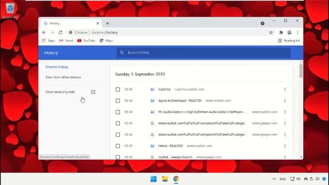 How to Delete Google Chrome's Browsing History on Windows 11 смотреть онлайн