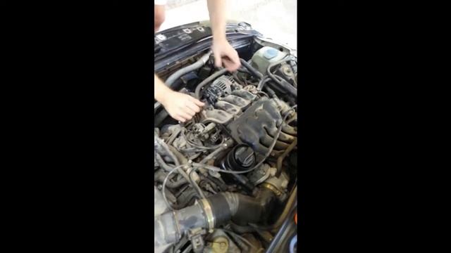 Seat Toledo Mk2 Replacing Intake Manifold Gaskets