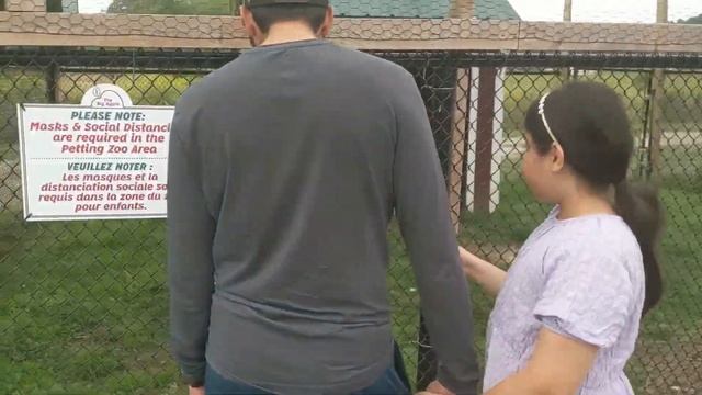 BIG APPLE pie factory & Petting ZOO Kids vlog Ontario CANADA смотреть онлайн