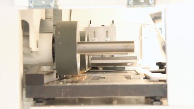 SCORNICIATRICE A 4 ALBERI + UNIVERSALE смотреть онлайн