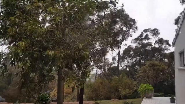 Through my Windows: Winter's back смотреть онлайн