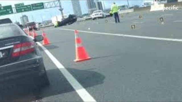 New Zealand news today | Cat was not thrown from car window on SH2 - police • смотреть онлайн