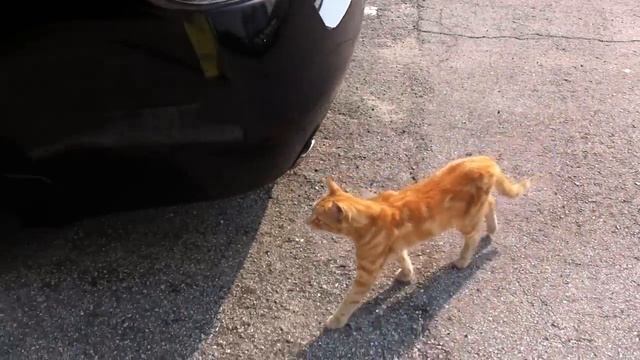 Как мы получали трак IMG 26521 смотреть онлайн