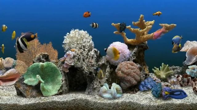 Fishie Windows 7 Background Dreamscene смотреть онлайн