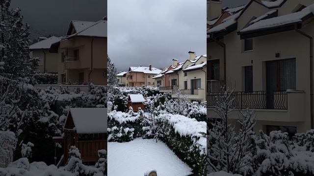 What do I see every day from my window? смотреть онлайн
