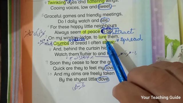 Grade 4 | My Doves | Poem | Oxford Modern English смотреть онлайн