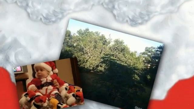 Kizoa Online Movie Maker: fairouz original ya louro houboukiNo title смотреть онлайн