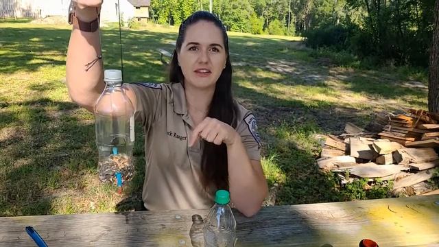 DIY Recycled Bird Feeder - #StayAndPlayOcala смотреть онлайн