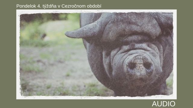 Moc... (POŽEHNANIE PRE TEBA - pondelok, 29.1.2024) смотреть онлайн