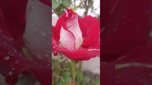 20-10-2024 смотреть онлайн