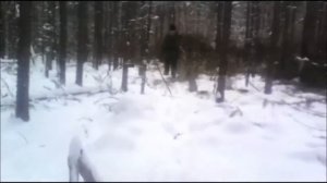 Заготовка леса. Зимний сезон, будни лесорубов.