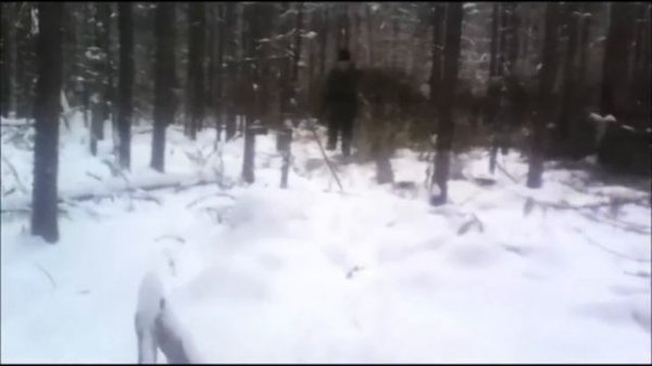Заготовка леса. Зимний сезон, будни лесорубов.