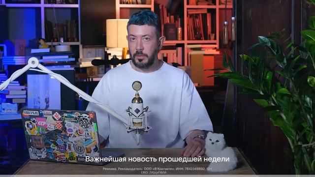 дибил н
а колесах смотреть онлайн