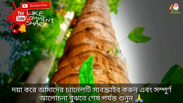 স্বপ্নে পেঁপে দেখলে কি হয় | shopne pepe dekhar bekkah | স্বপ্নের ব্যাখ্যা | স্বপ্নের তাবির | swopno смотреть онлайн