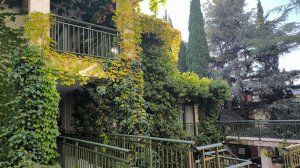 More SPA & Resort 5*. Обзор отеля, октябрь 2024. Крым, Алушта.