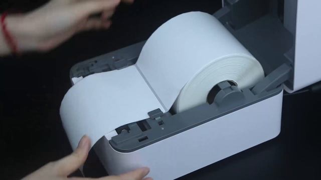 M4201 Direct Thermal Label Printer Installation and User Guide on Windows OS смотреть онлайн